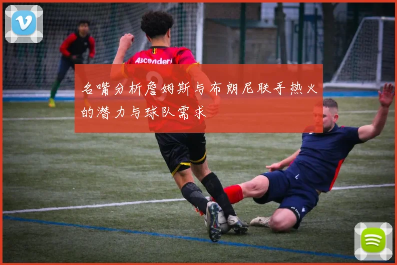 名嘴分析詹姆斯与布朗尼联手热火的潜力与球队需求