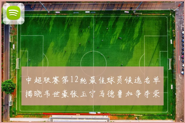 中超联赛第12轮最佳球员候选名单揭晓韦世豪张玉宁马德鲁加争夺荣誉
